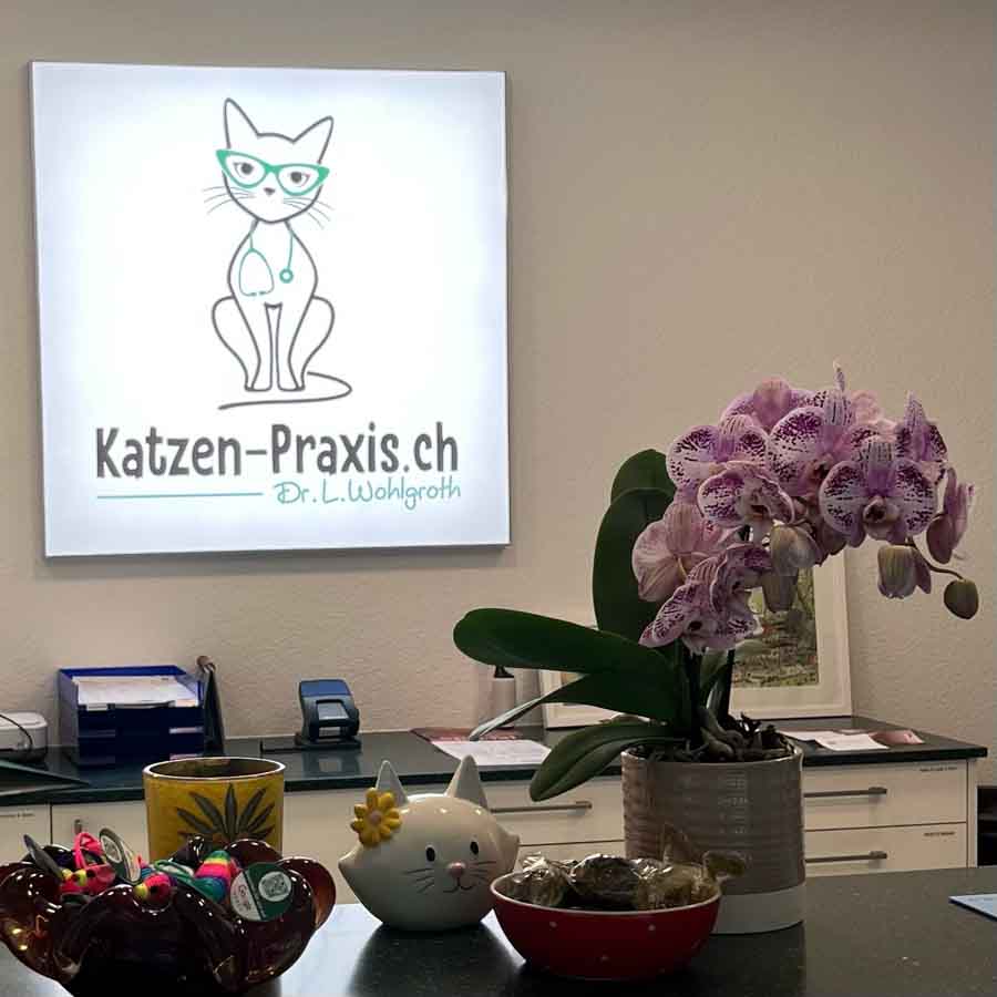 Empfang der Katzen-Praxis.ch